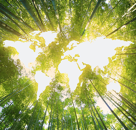 低碳科技、环保生活